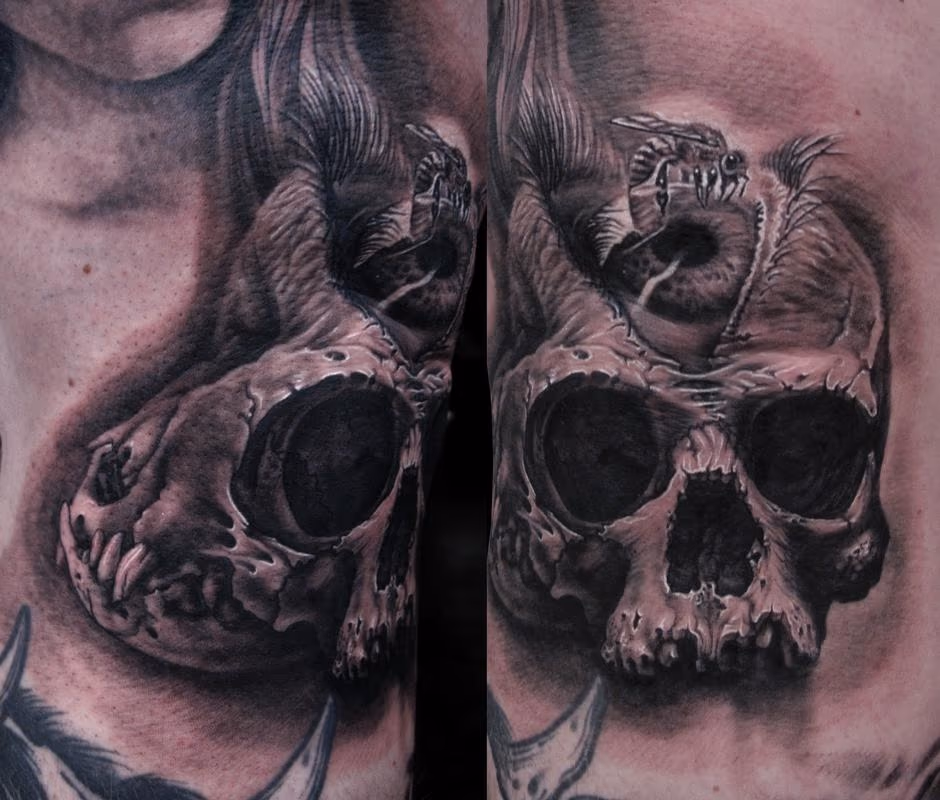 Eye Skull