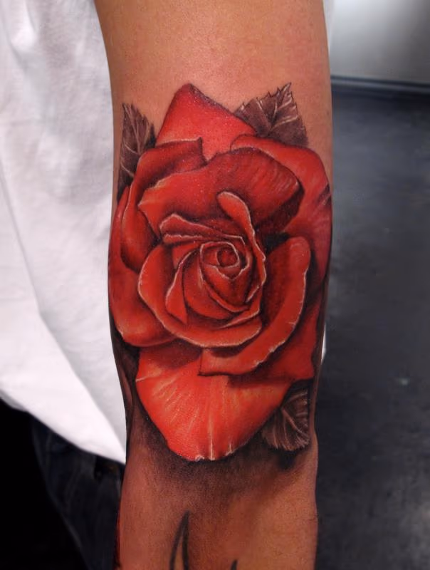 Rose