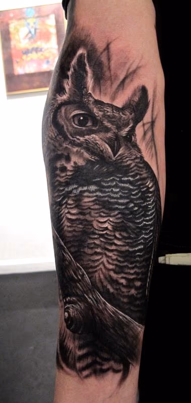 OWL Cover up