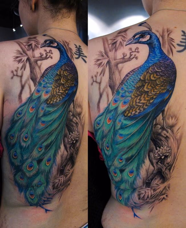 Peacock tattoo