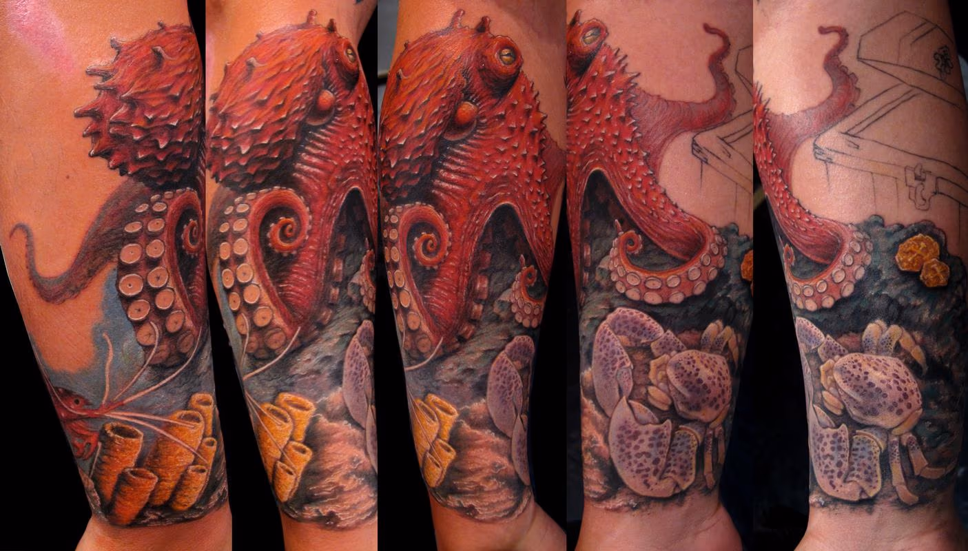 Octopus