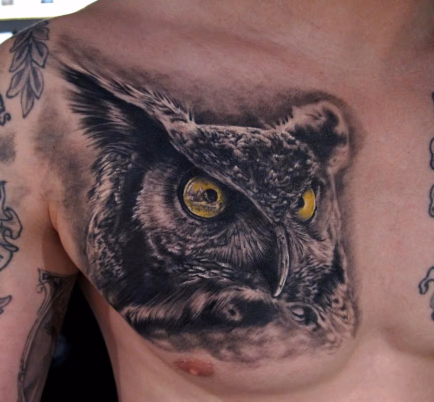 Owl tattoo - healed