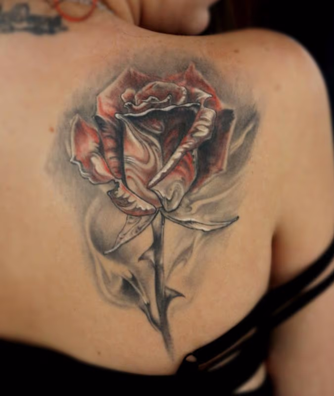 Healed Rose