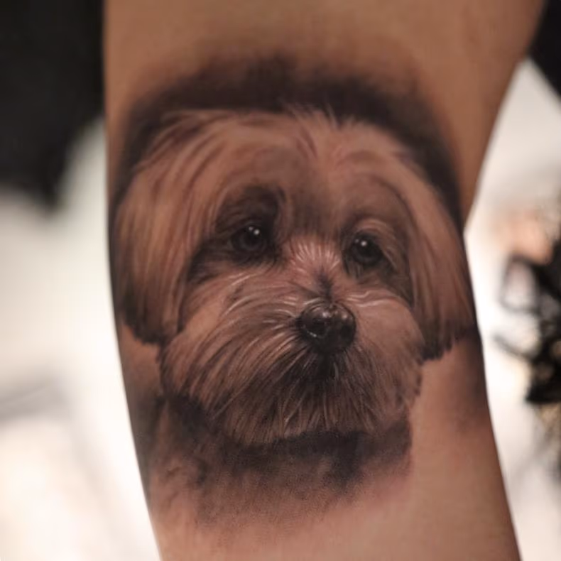 Memorial Dog Portrait