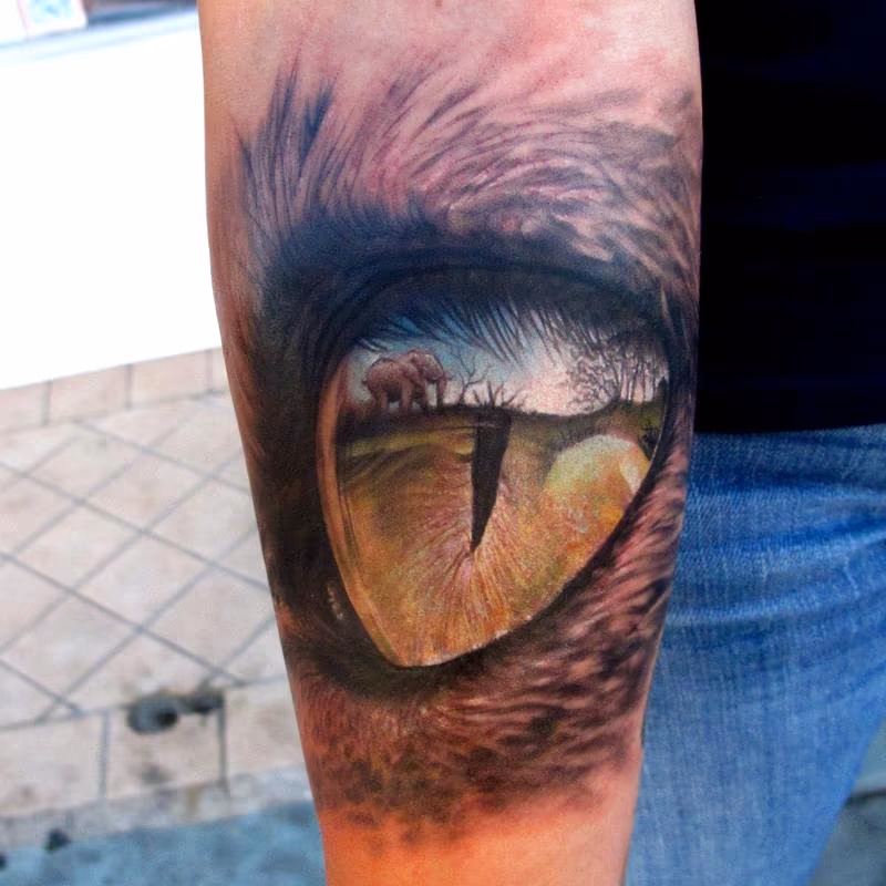 Eye Reflection