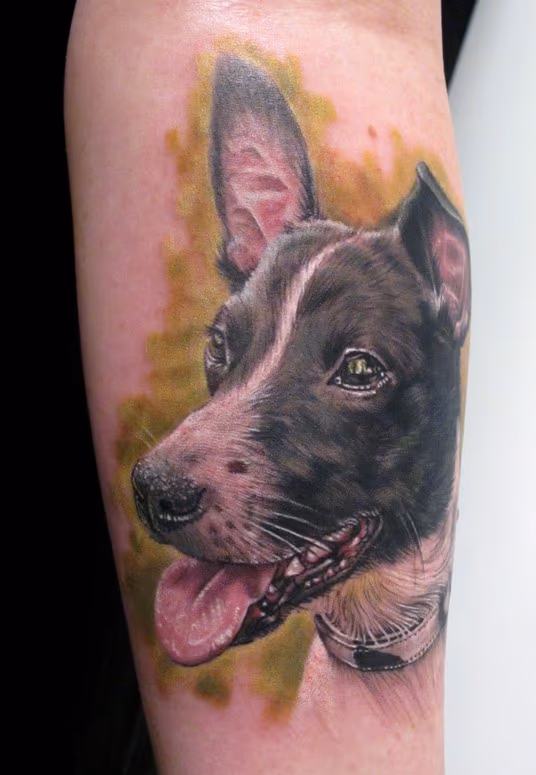 Dog Portrait