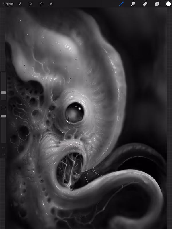 Organic Octo -Jelly