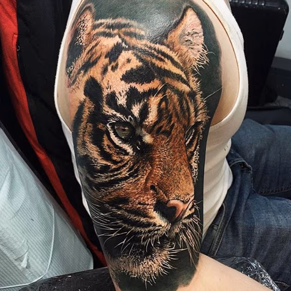 TIger