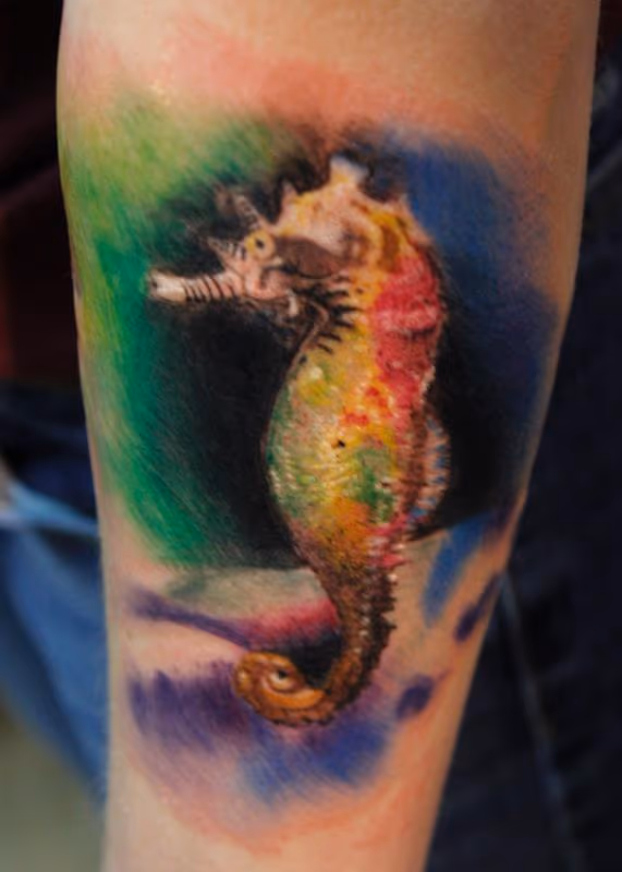 Rainbow Seahorse