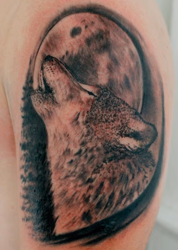 Wolf