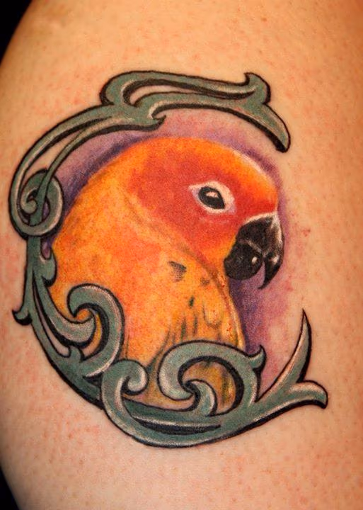 Parrot