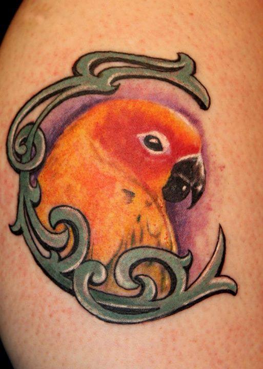 Parrot