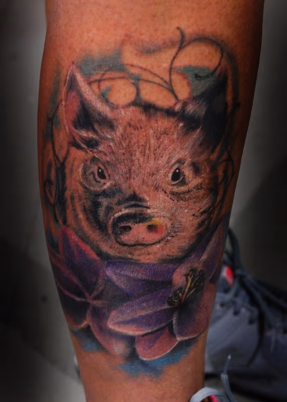 Little Pig Little Pig