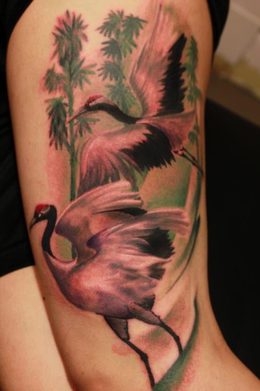 Red Crown Cranes