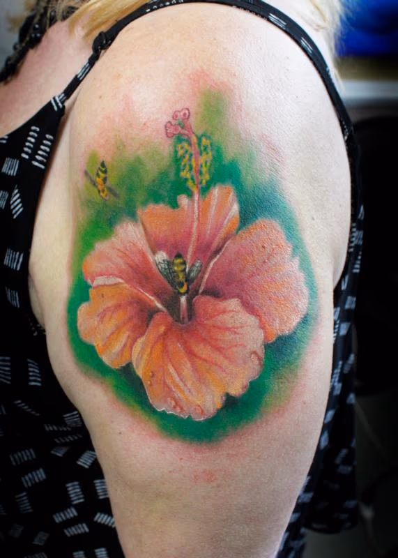 Hibiscus