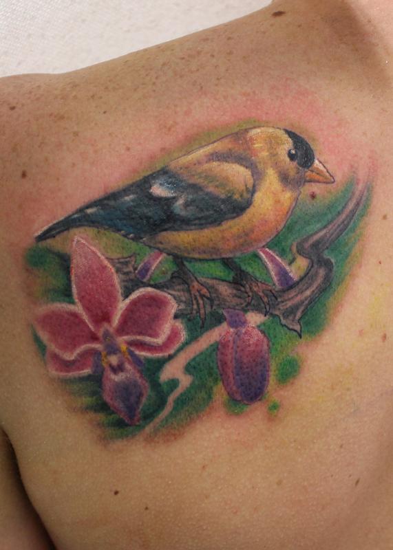 Golden Finch