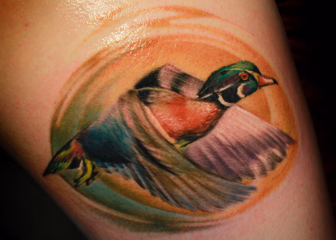 Wood Duck