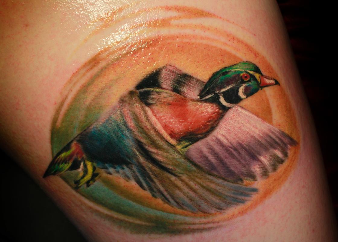Wood Duck