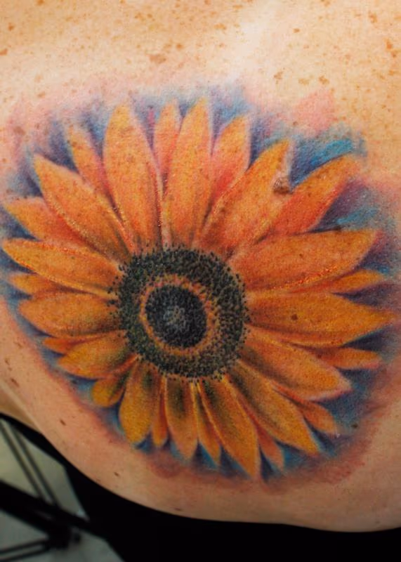 Sunflower