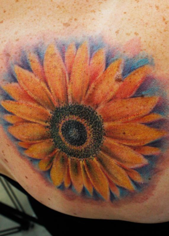 Sunflower