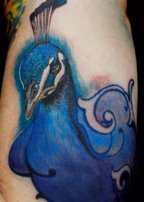 Peacock