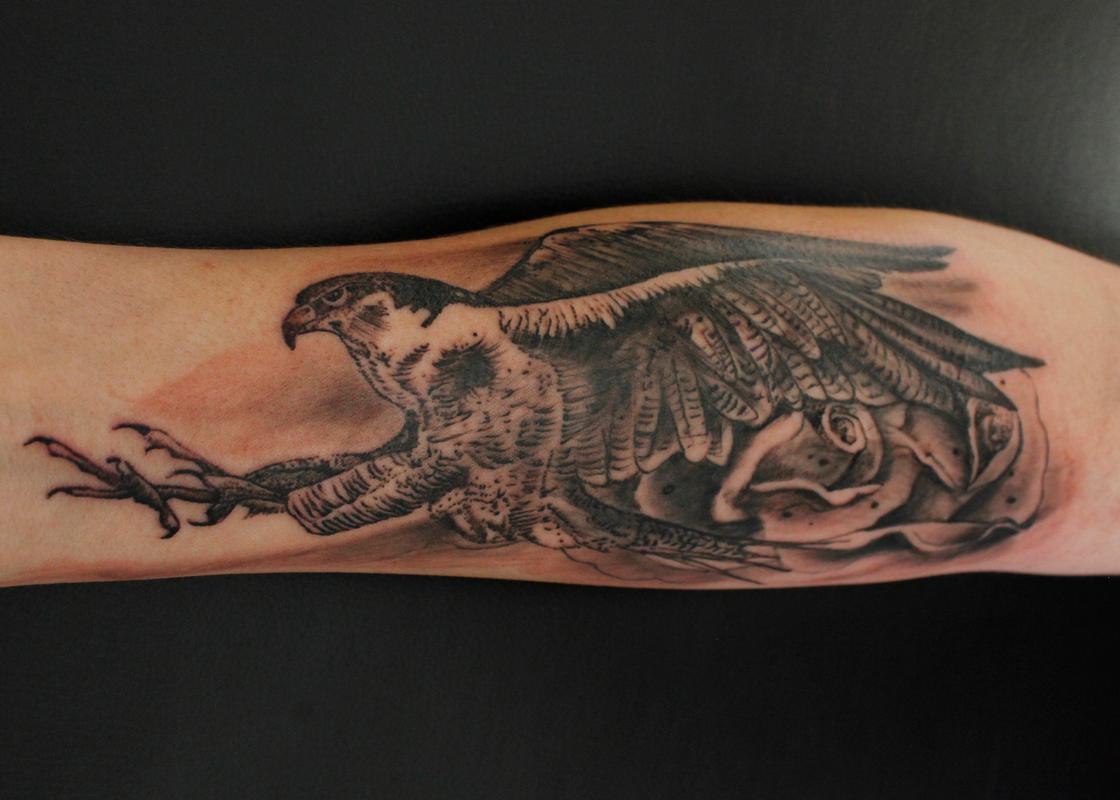 Peregrine