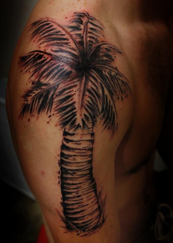 Palm Tree