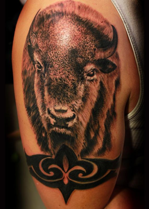 Bison