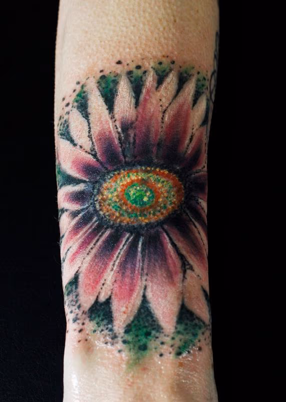 Gazania