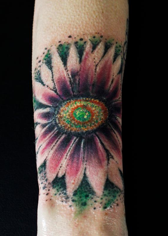 Gazania