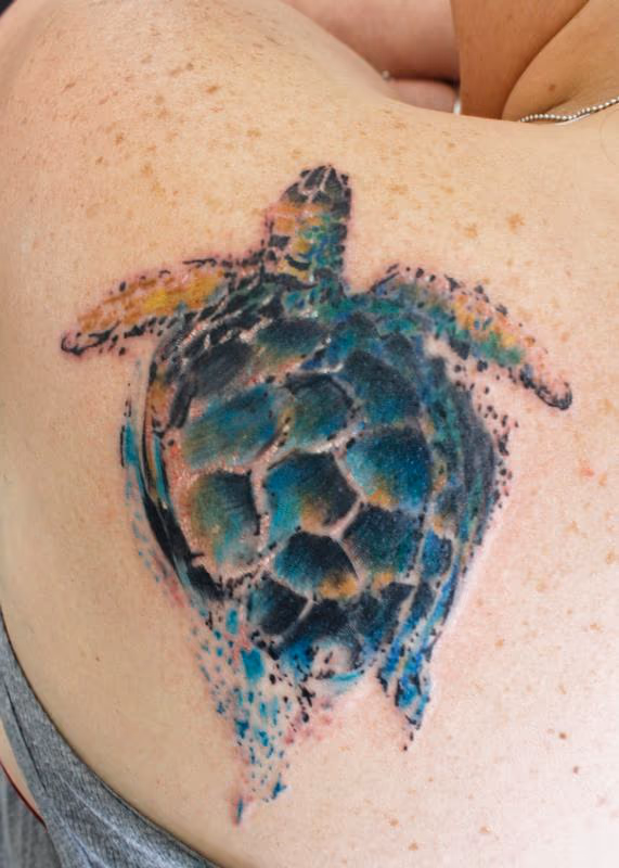 Sea Turtle