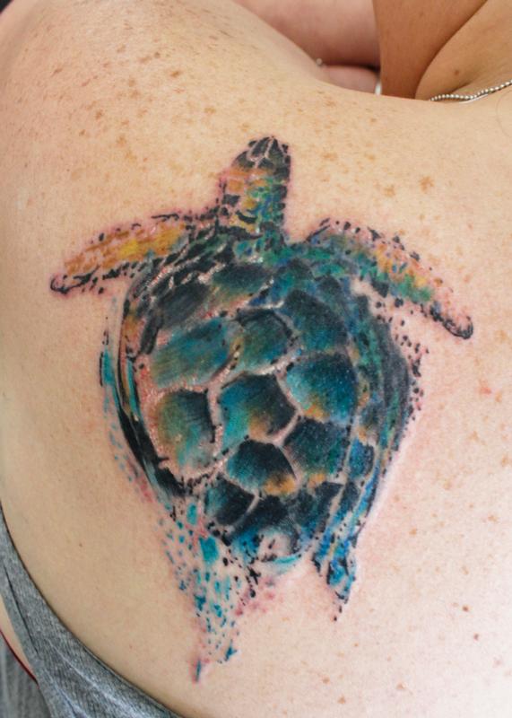 Sea Turtle