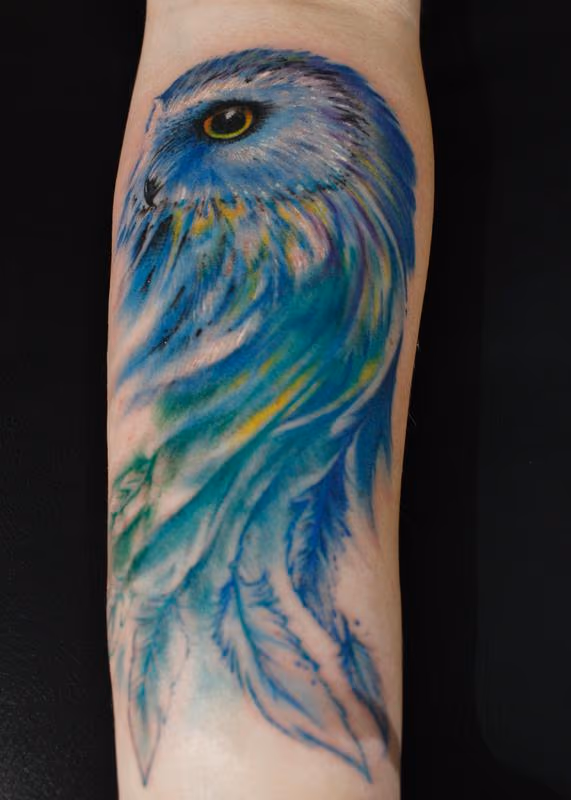 Blueberry Owl
