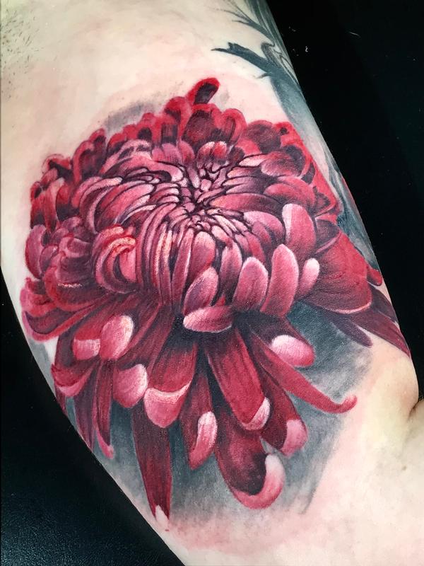 Chrysanthemum
