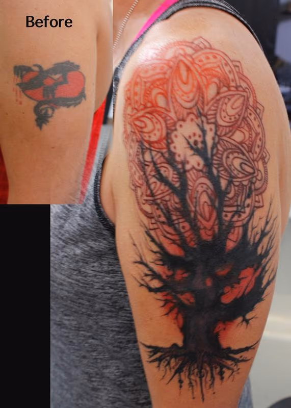 Bethany's Cover Up