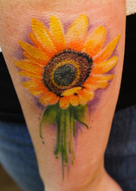 Sunflower