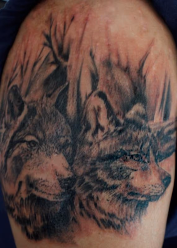 Wolves