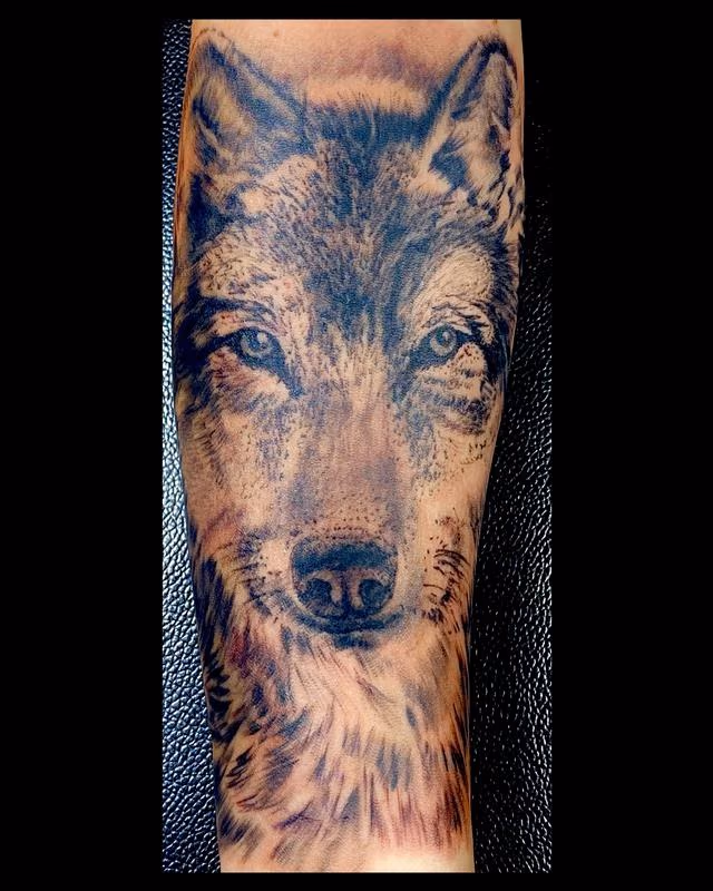 Wolf