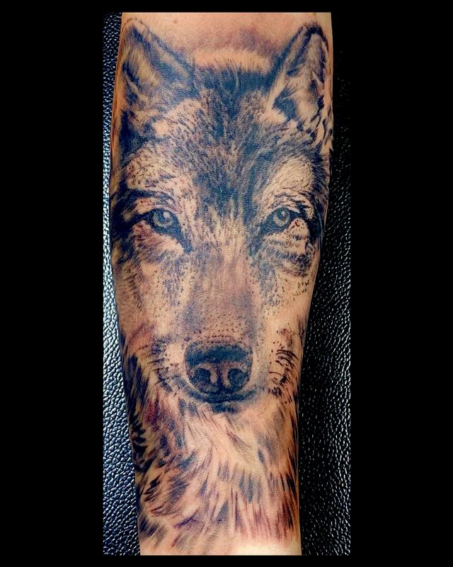 Wolf