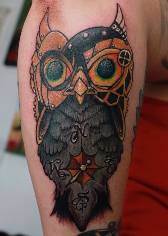 Zues the Owl