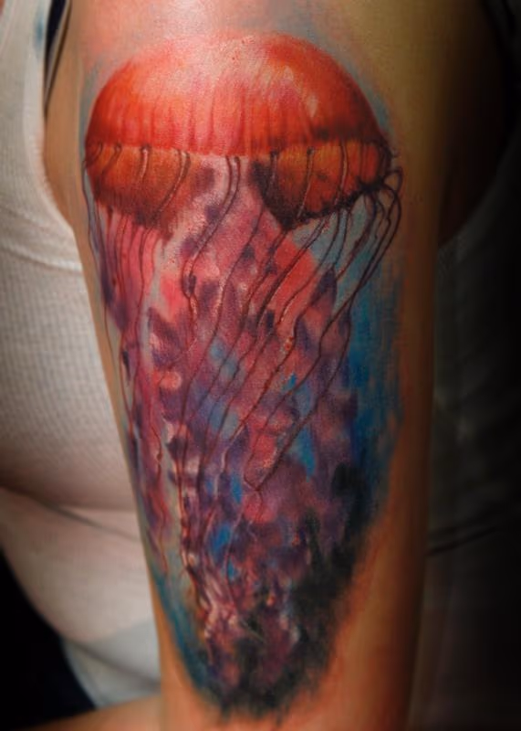 Jellyfish