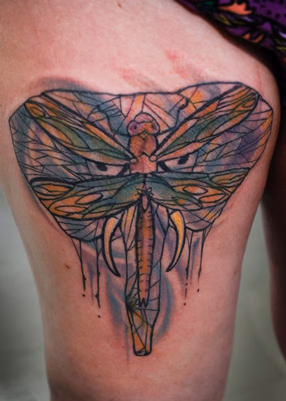 Elephant Dragonfly