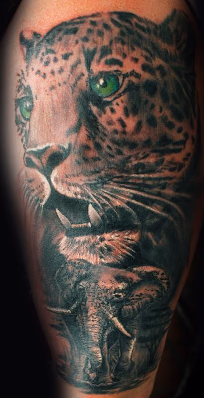 The leopard and the wise man.
