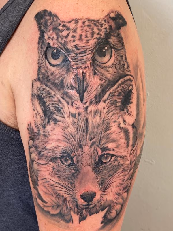 Owl Fox