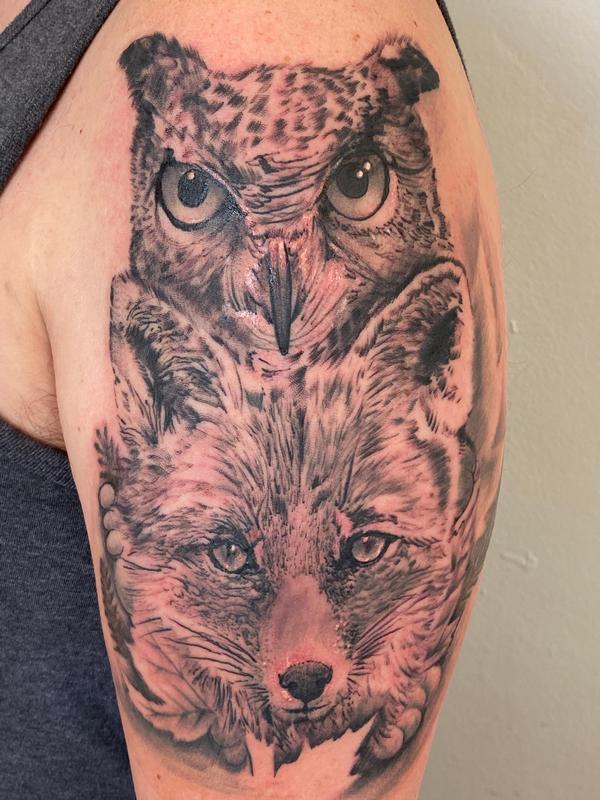 Owl Fox
