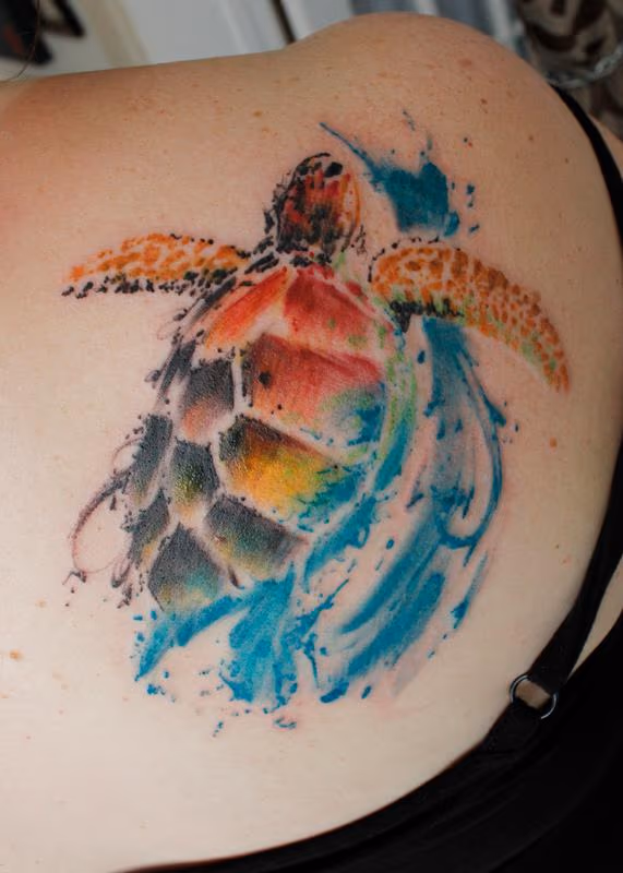 Sea Turtle