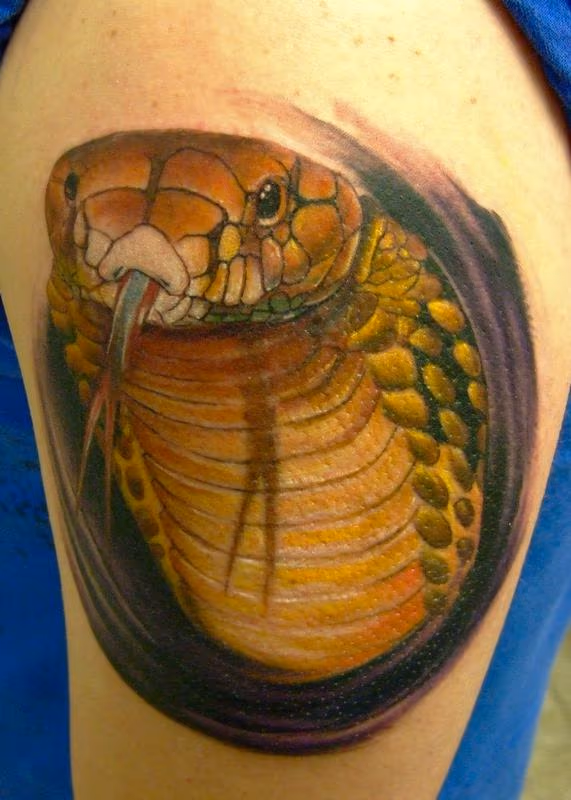 Cobra