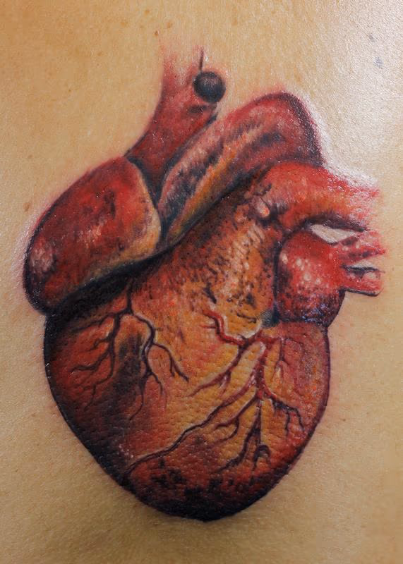 Cor Anterior