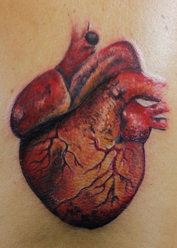 Cor Anterior