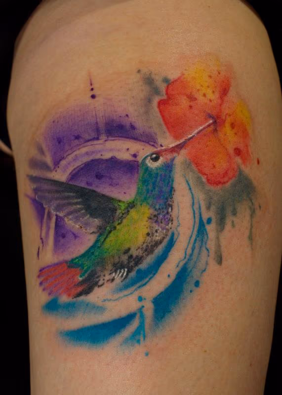 Splashy Hummingbird